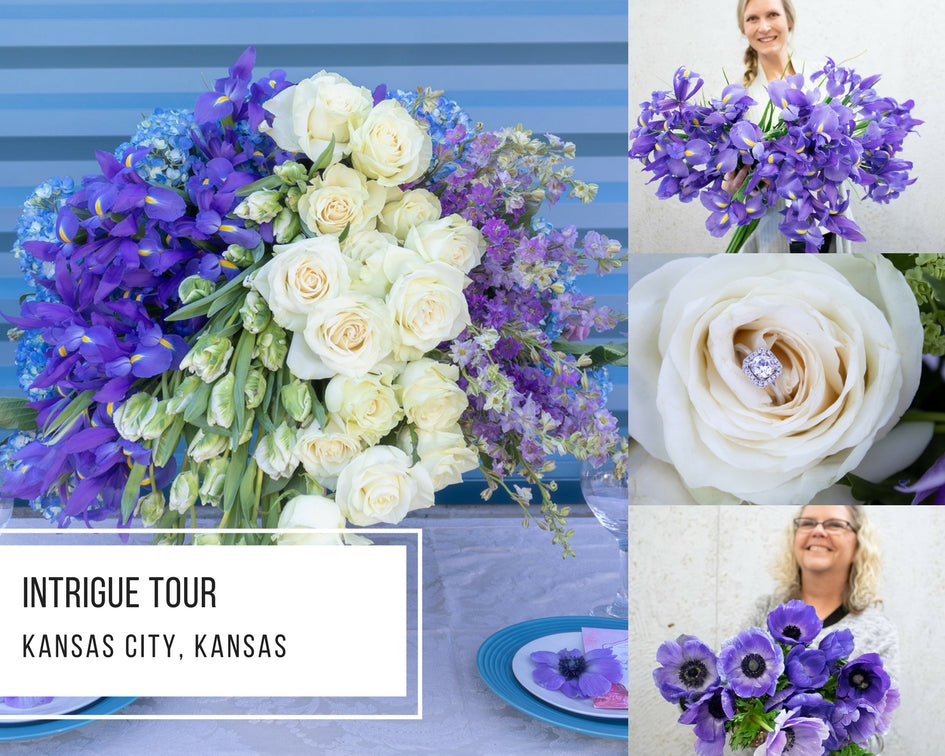 Intrigue Tour: Kansas City, Kansas