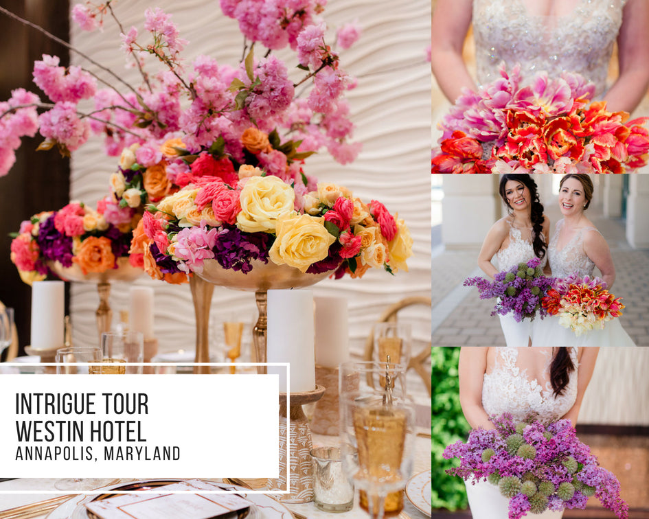 BONUS: Intrigue Tour: Annapolis, Maryland