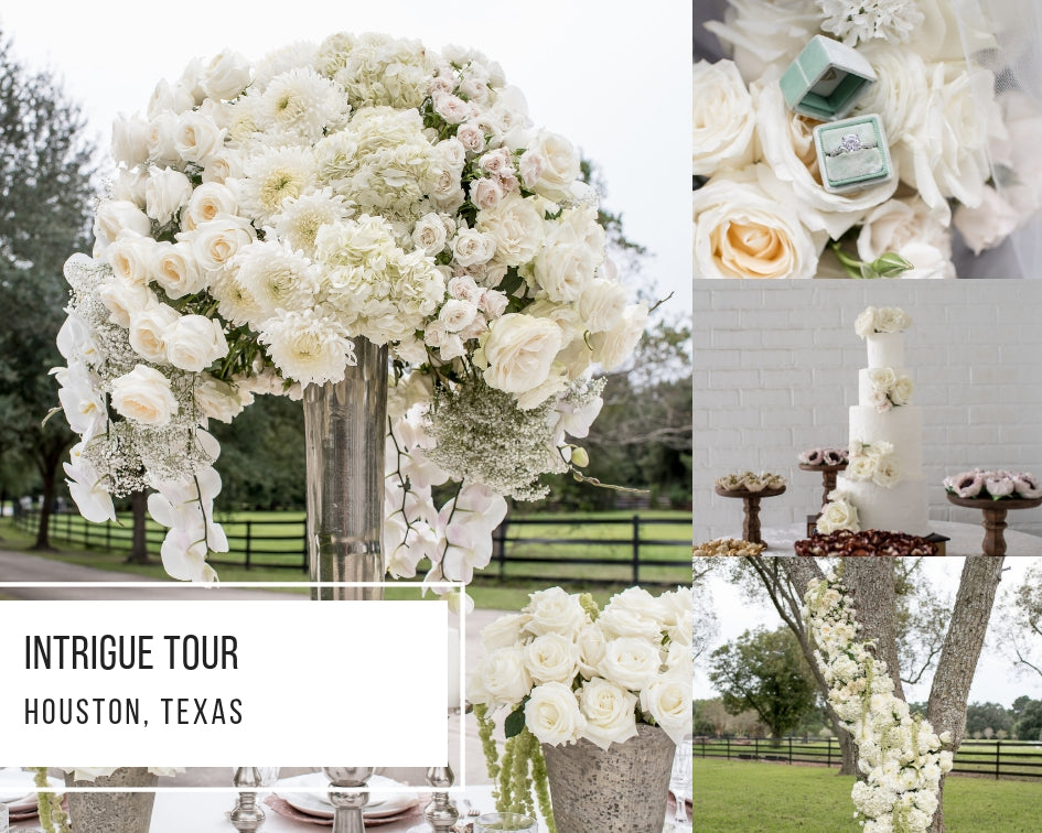 Intrigue Tour: Houston, Texas