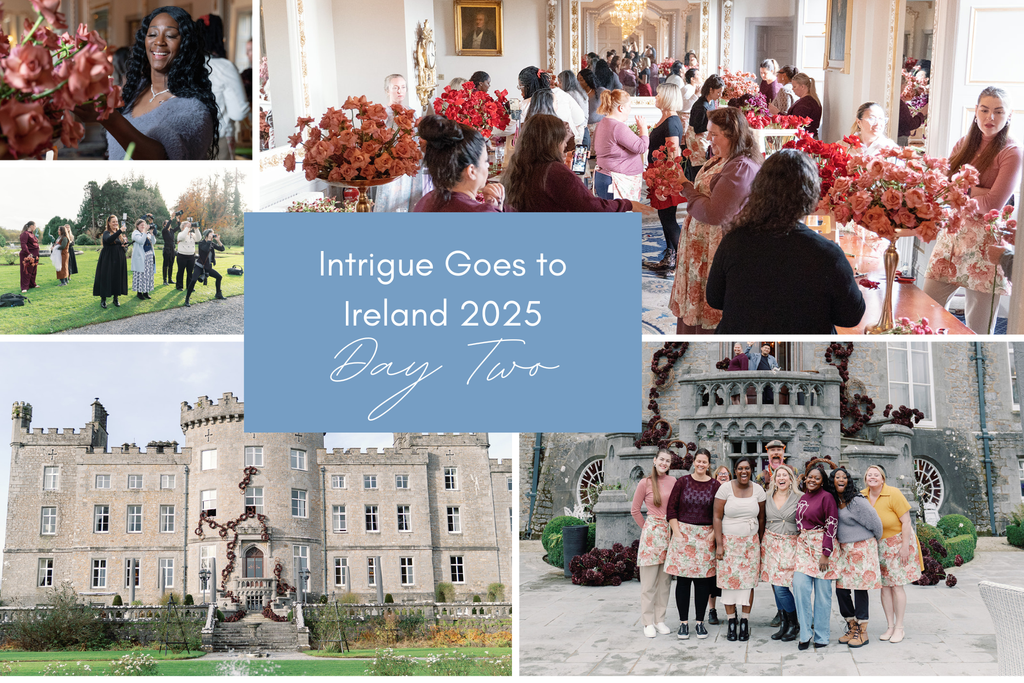 Intrigue Goes to Ireland - Day 2