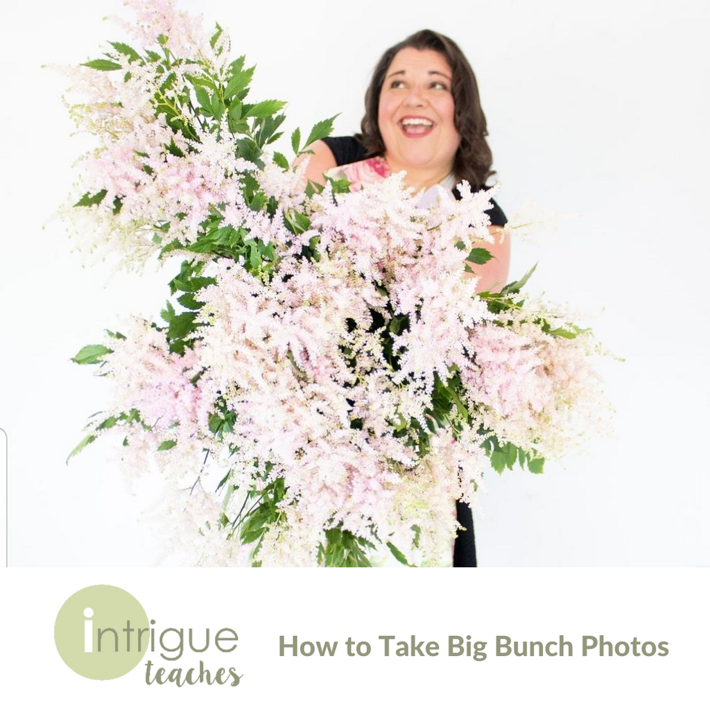 How to Take Big Bunch Photos