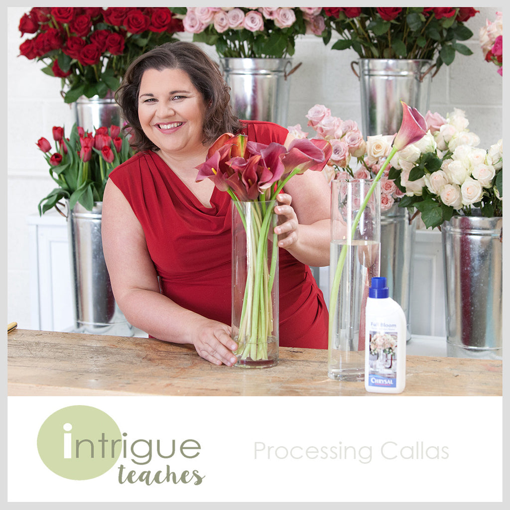 Processing Callas
