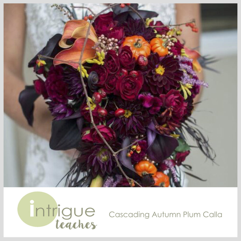 Cascading Plum Autumn Calla