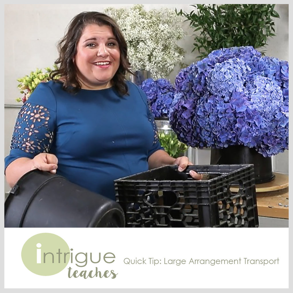 Large Arrangement Transport