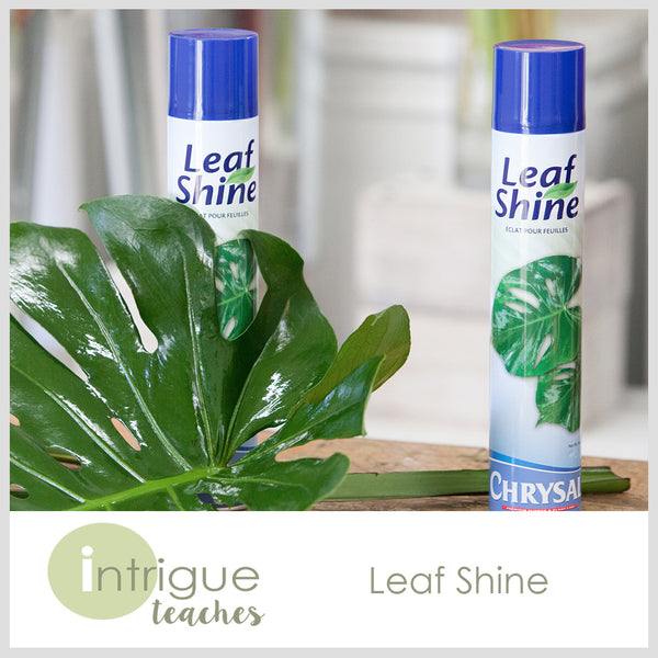 Leaf Shine Spray