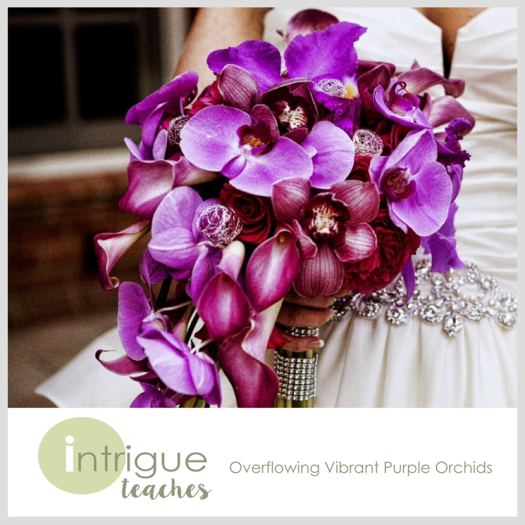 Overflowing Vibrant Purple Orchids