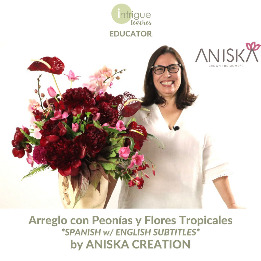 Arreglo con Peonías y Flores Tropicales (Arrangement with Peonies and Tropical Flowers)