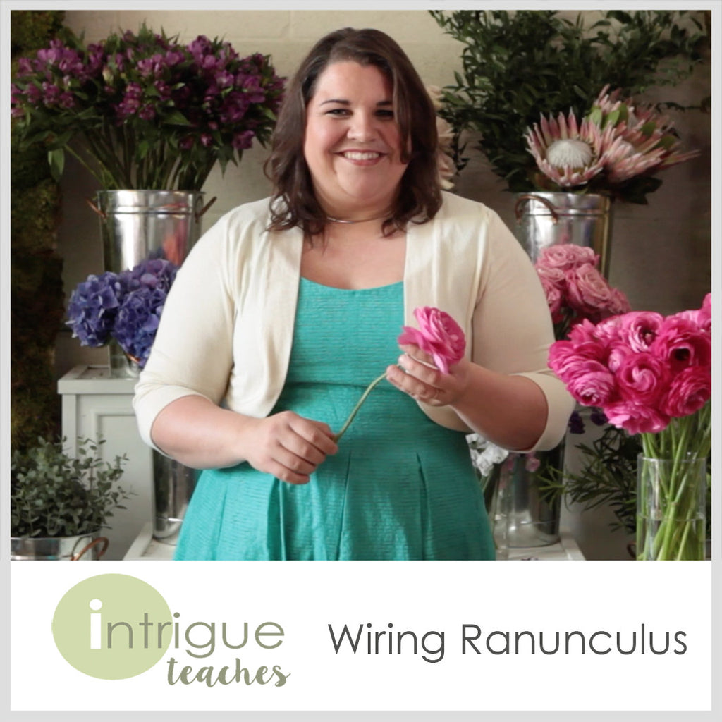 Wiring Ranunculus