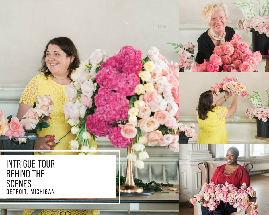 Intrigue Tour: Detroit, Michigan