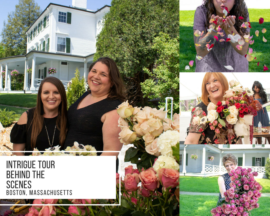 Intrigue Tour: Boston, Massachusetts