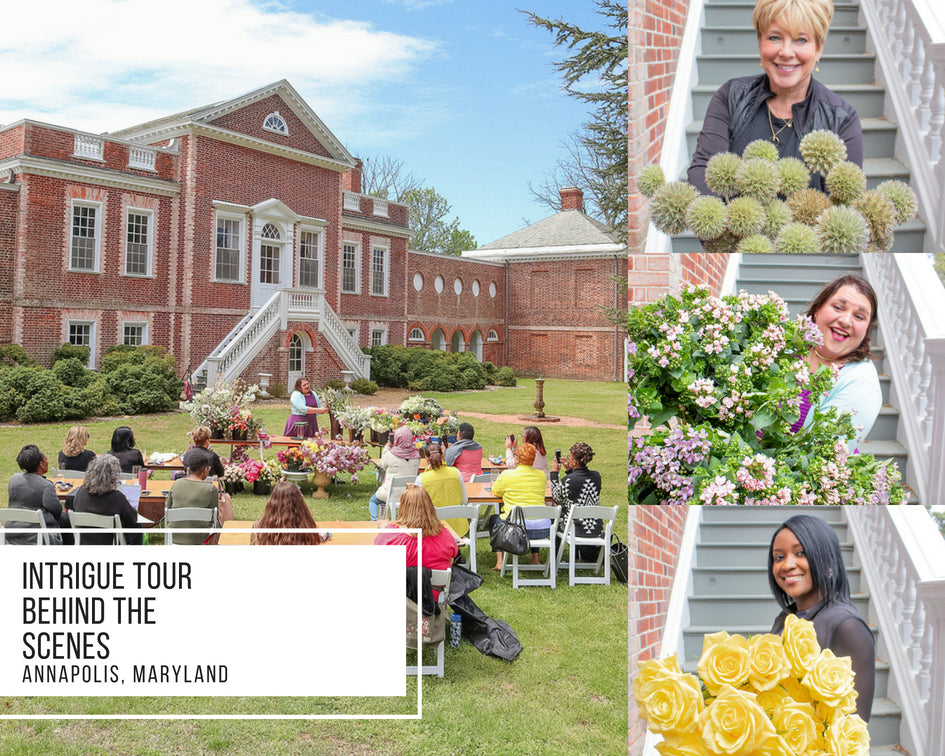 Intrigue Tour: Annapolis, Maryland