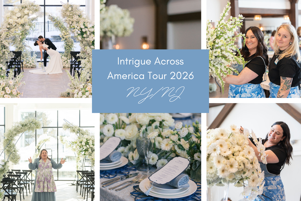 Intrigue Across America Tour 2026 - NY/NJ