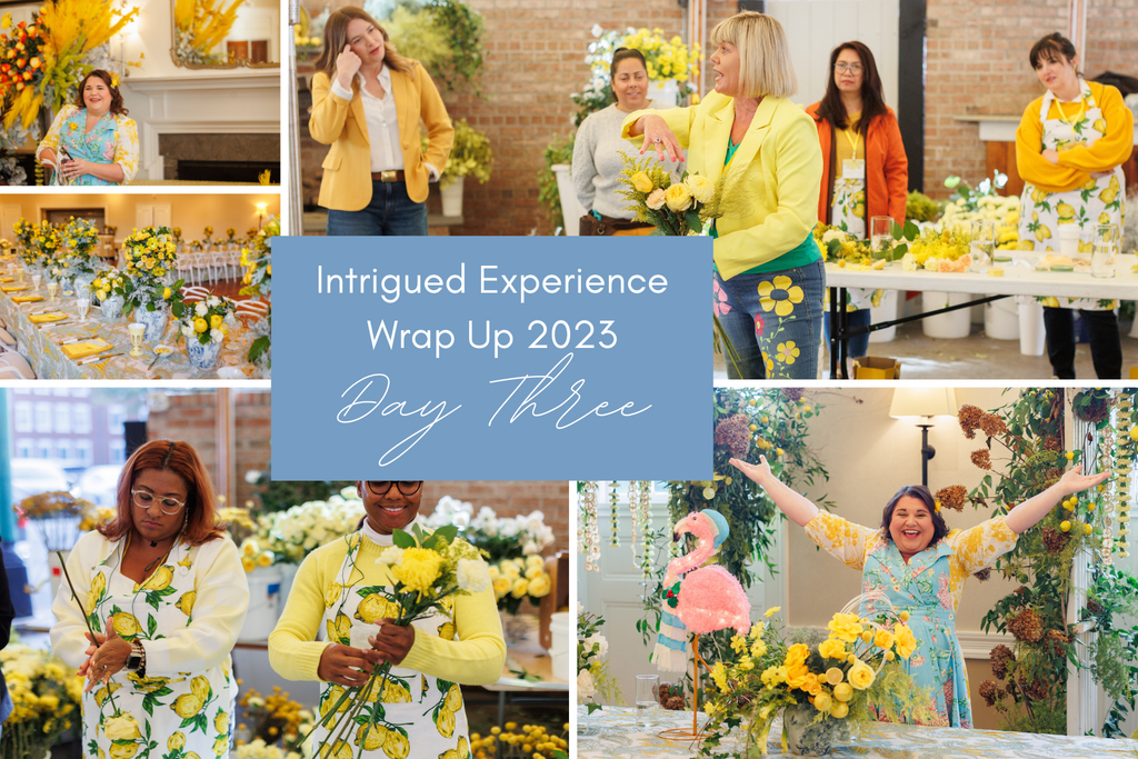 Intrigued Experience 2023 Wrap Up - Day Three