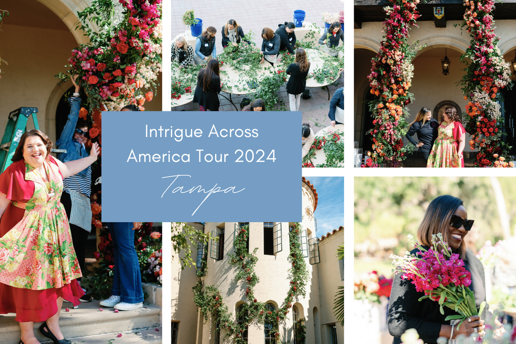 Intrigue Across America Tour 2024 - Tampa