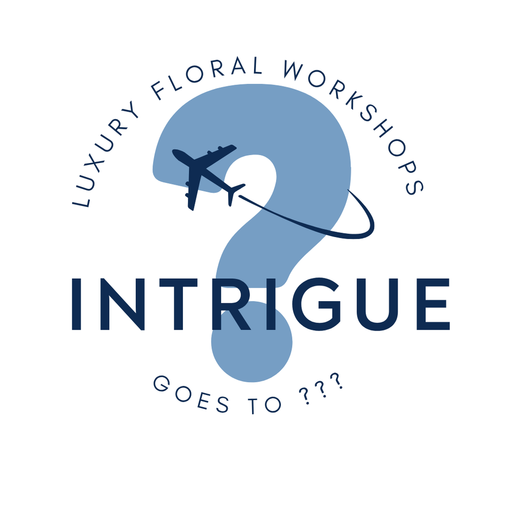 Intrigue Goes to ??? 2026 - 2025 Retreat Pricing