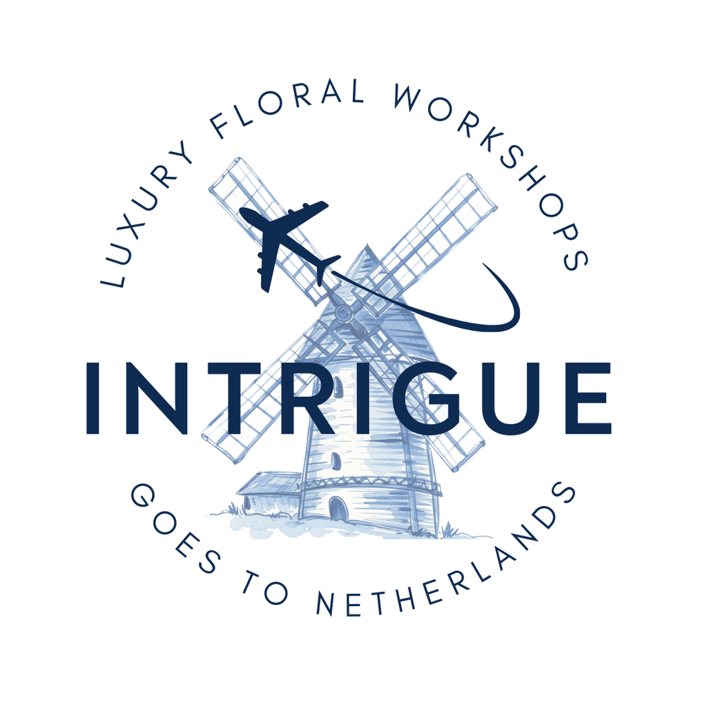 Intrigue Goes To Netherlands 2026 Tour (COMPANION TICKET)