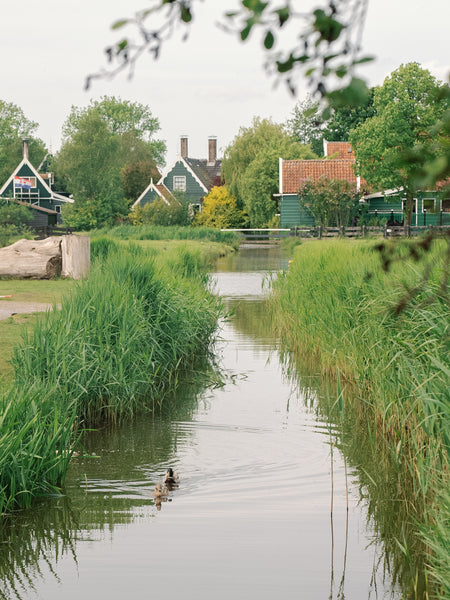 Intrigue Goes To Netherlands - Nov 2, 3 & 4 - PHOTO