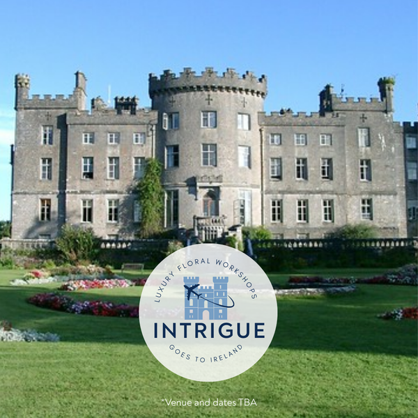 Intrigue Goes To Ireland 2025 Tour Pre-Sale