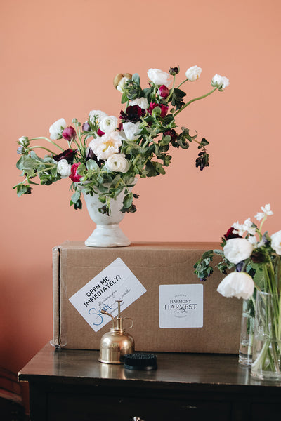 Intrigue Flower Surprise Box (FREE SHIPPING)