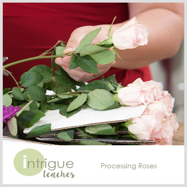 Processing Roses