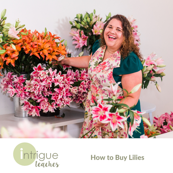 How to Buy Lilies