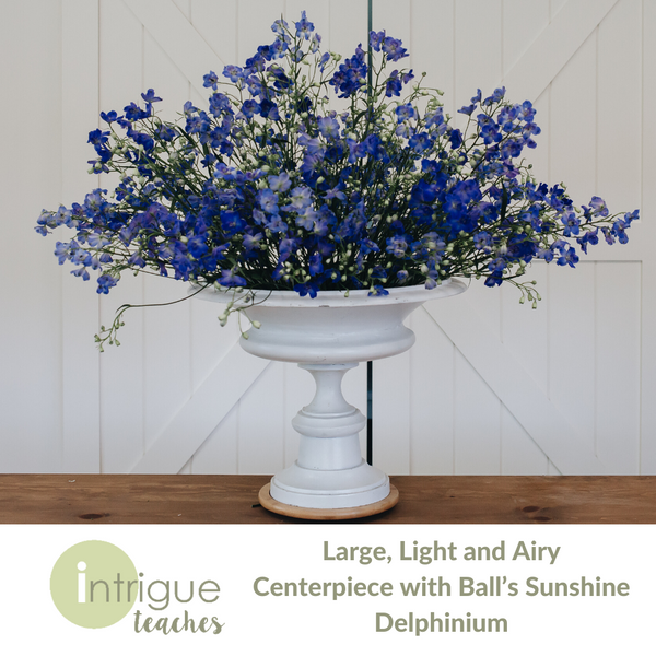 Large, Light and Airy Centerpiece with Ball's Delphinium