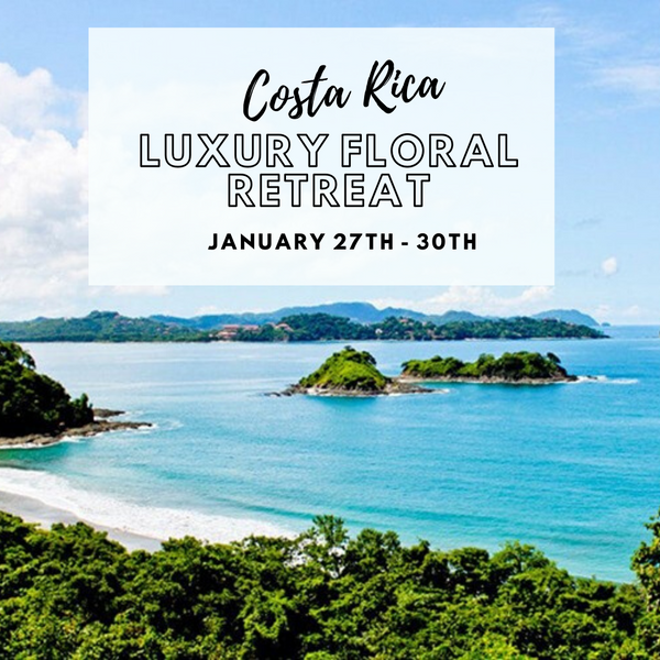 Costa Rica - Luxury Floral Retreat