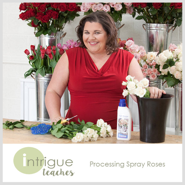 Processing Spray Roses