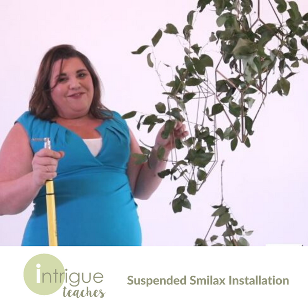 Suspended Smilax Installation