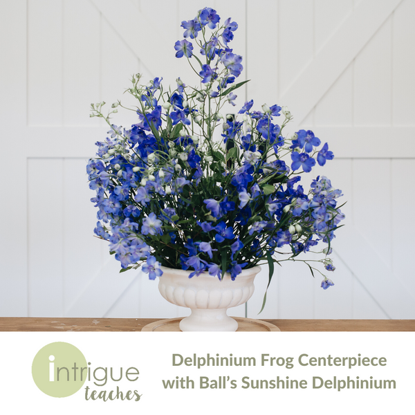 Frog Centerpiece with Ball's Delphinium