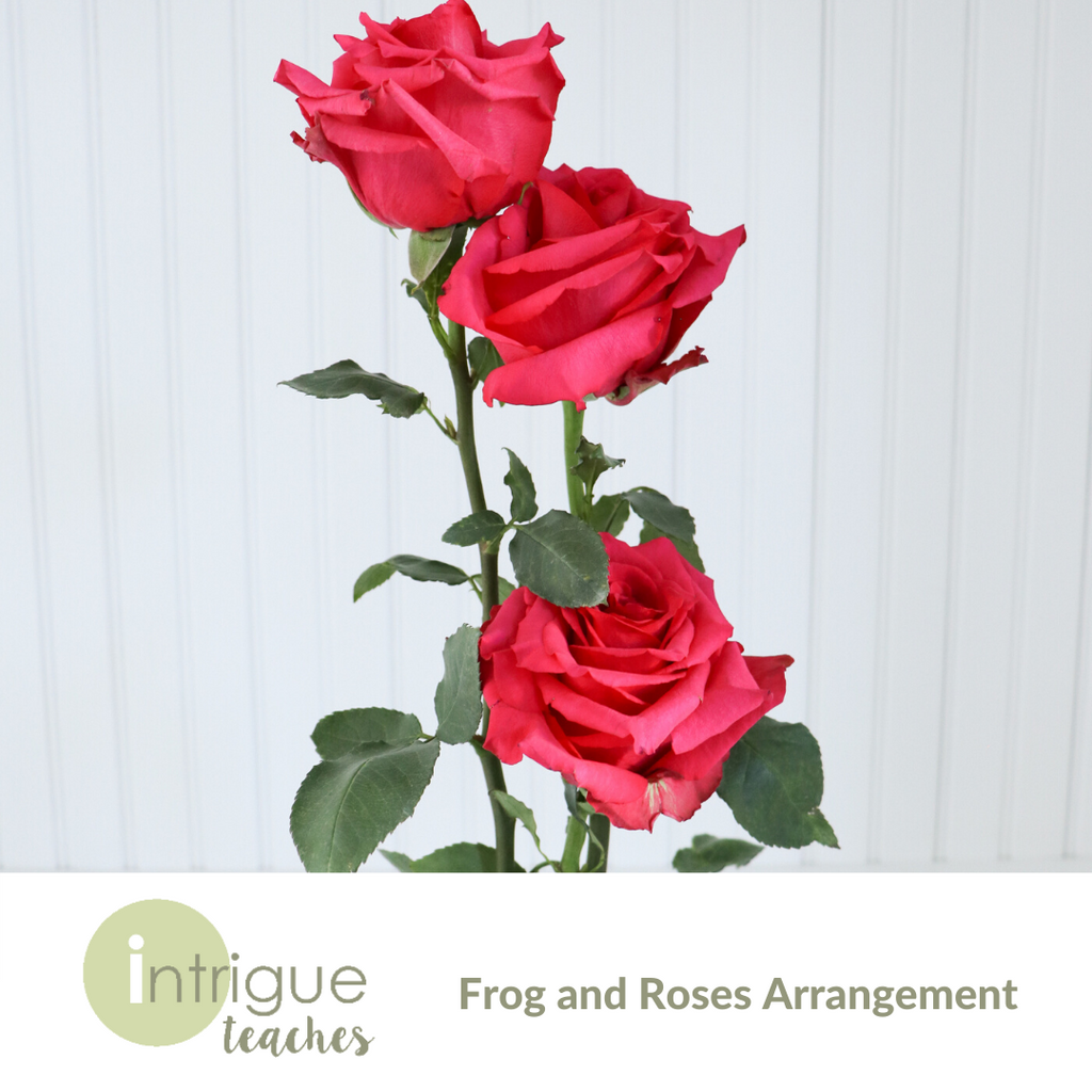 Frogs and Roses