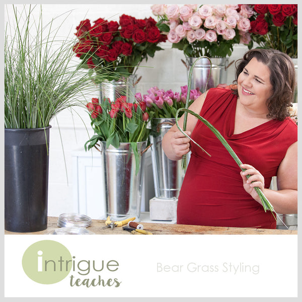 Bear Grass Styling