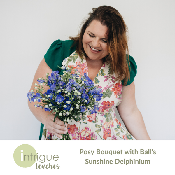 Delphinium Posy Bouquet with Ball’s Sunshine Delphinium