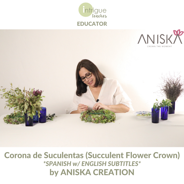 Corona de Suculentas (Succulent Flower Crown)