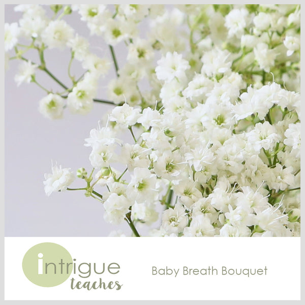 Baby's Breath Bouquet