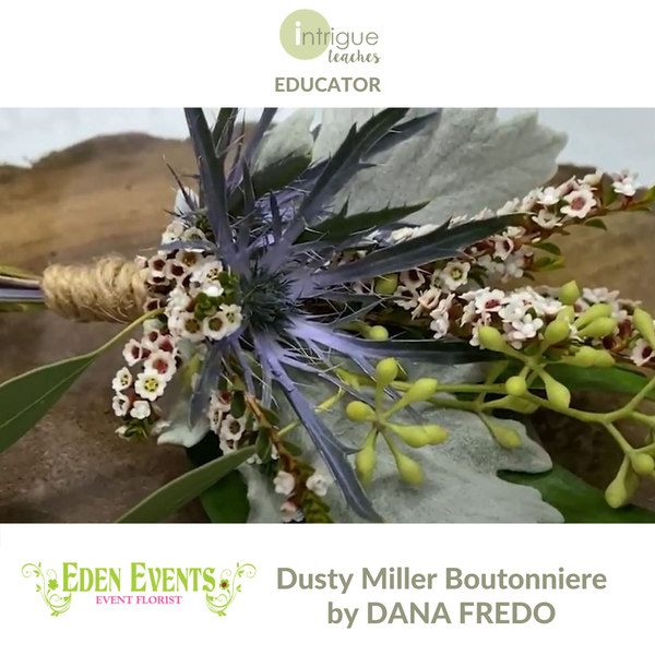 Dusty Miller Boutonniere