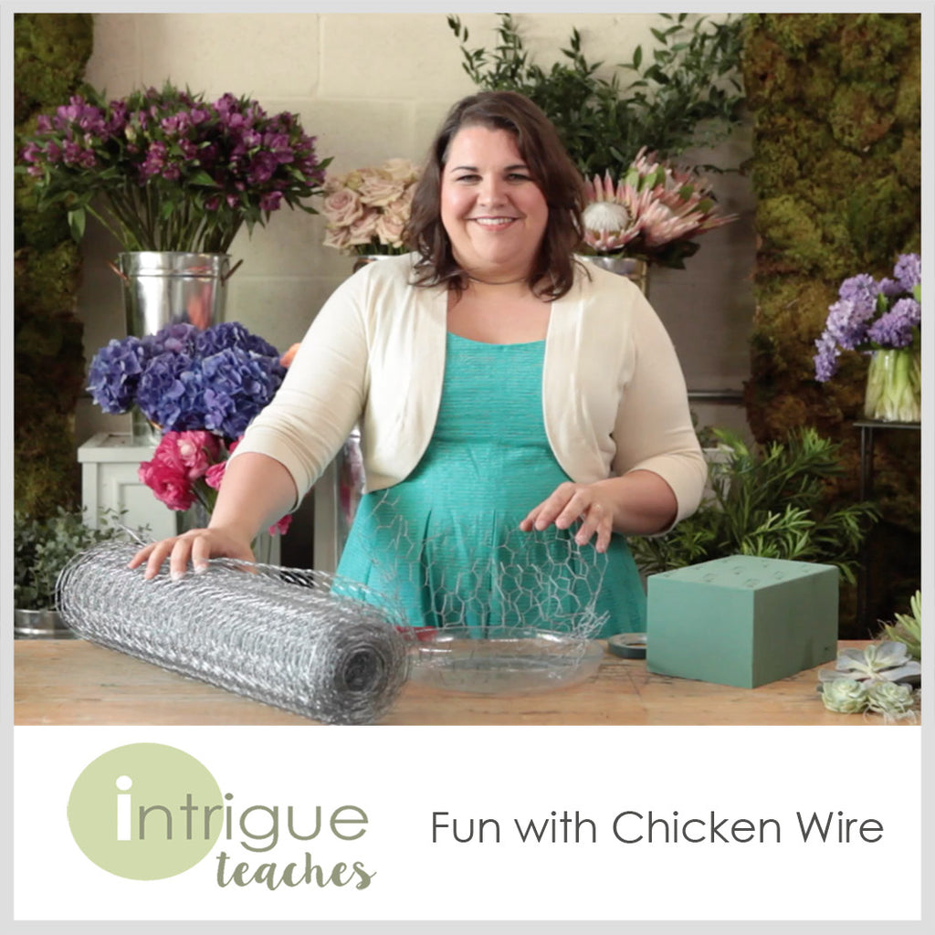 Fun with Chicken Wire – Intrigue Teaches