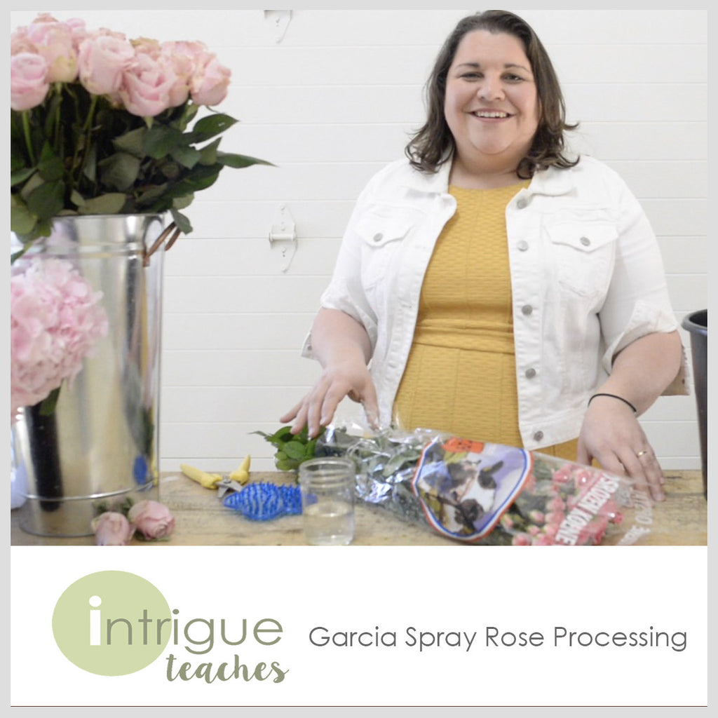 Garcia Spray Roses Processing