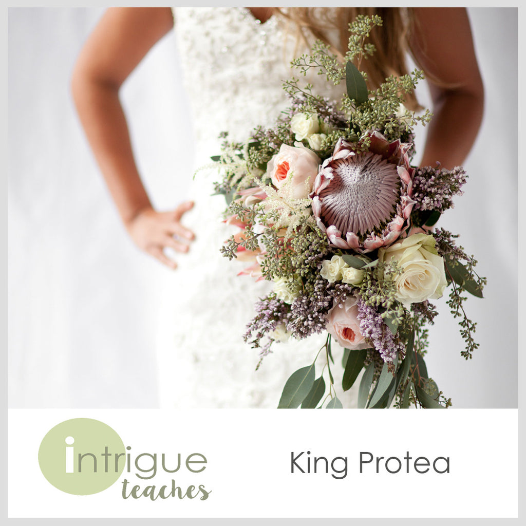 Protea bouquet deals