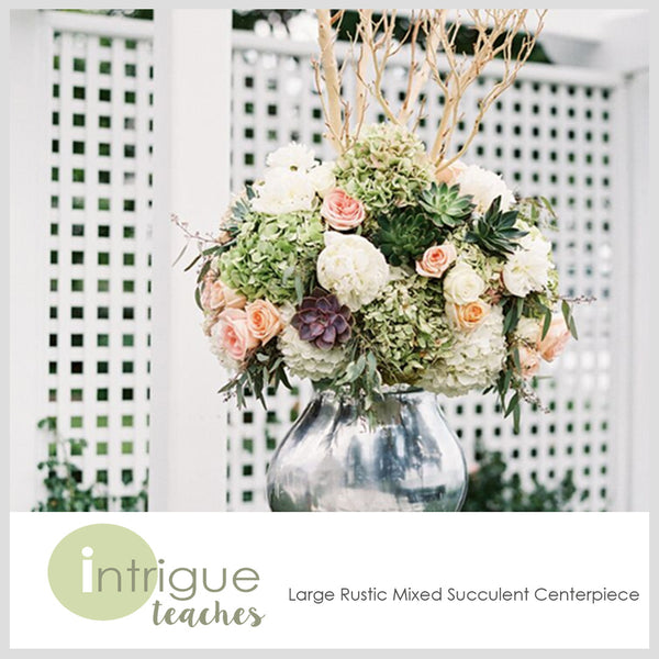 Large Rustic Mixed Succulent Centerpiece