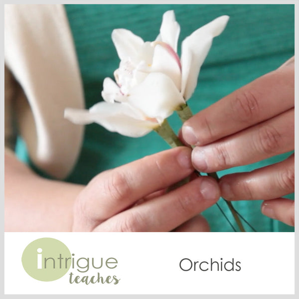 Grouping Orchids