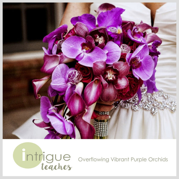 Overflowing Vibrant Purple Orchids