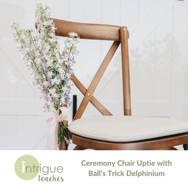 Ceremony Chair Uptie with Ball’s Trick Delphinium