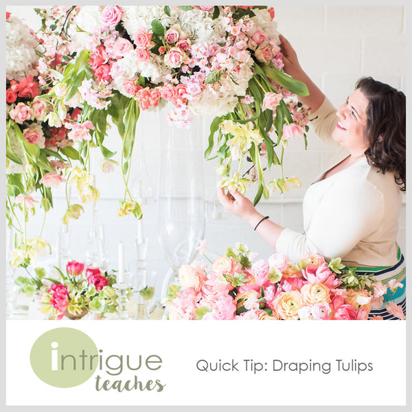 Draping Tulips