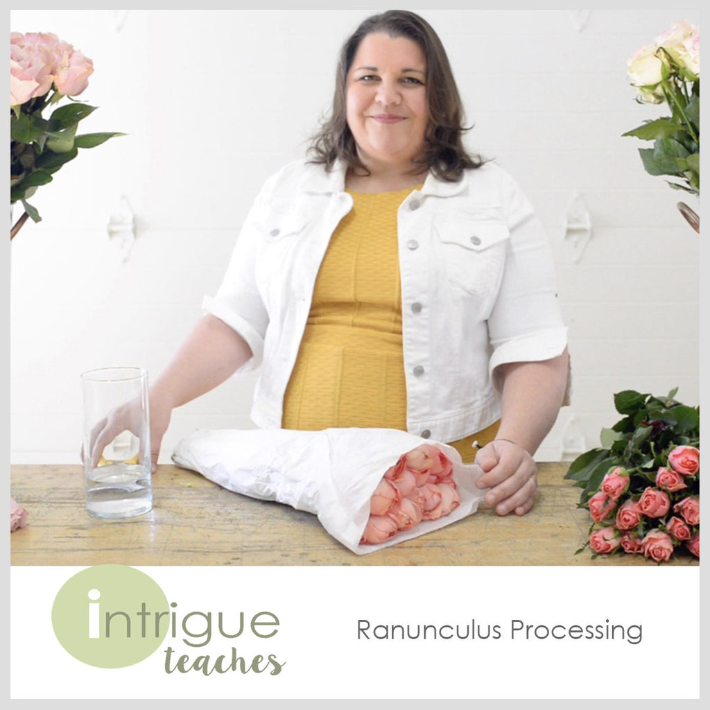 Ranunculus Processing