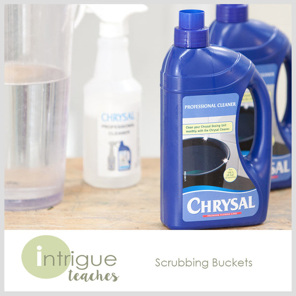 Scrubbing Buckets