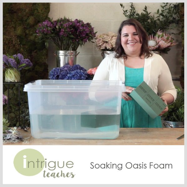 Soaking Oasis