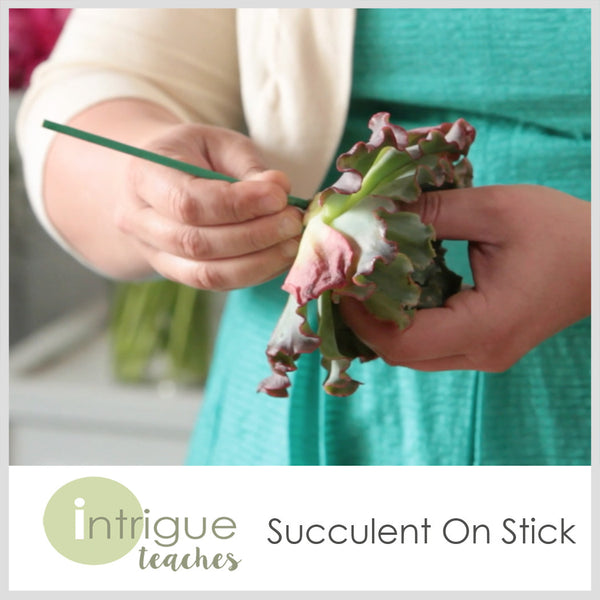 Succulent on a Stick