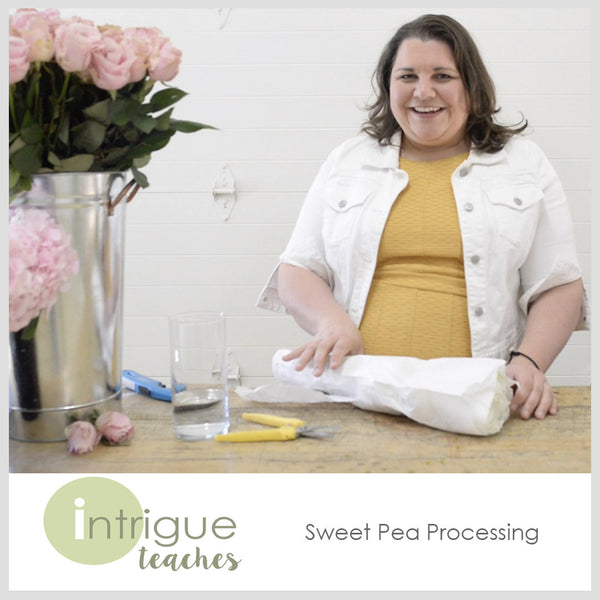 Sweet Pea Processing