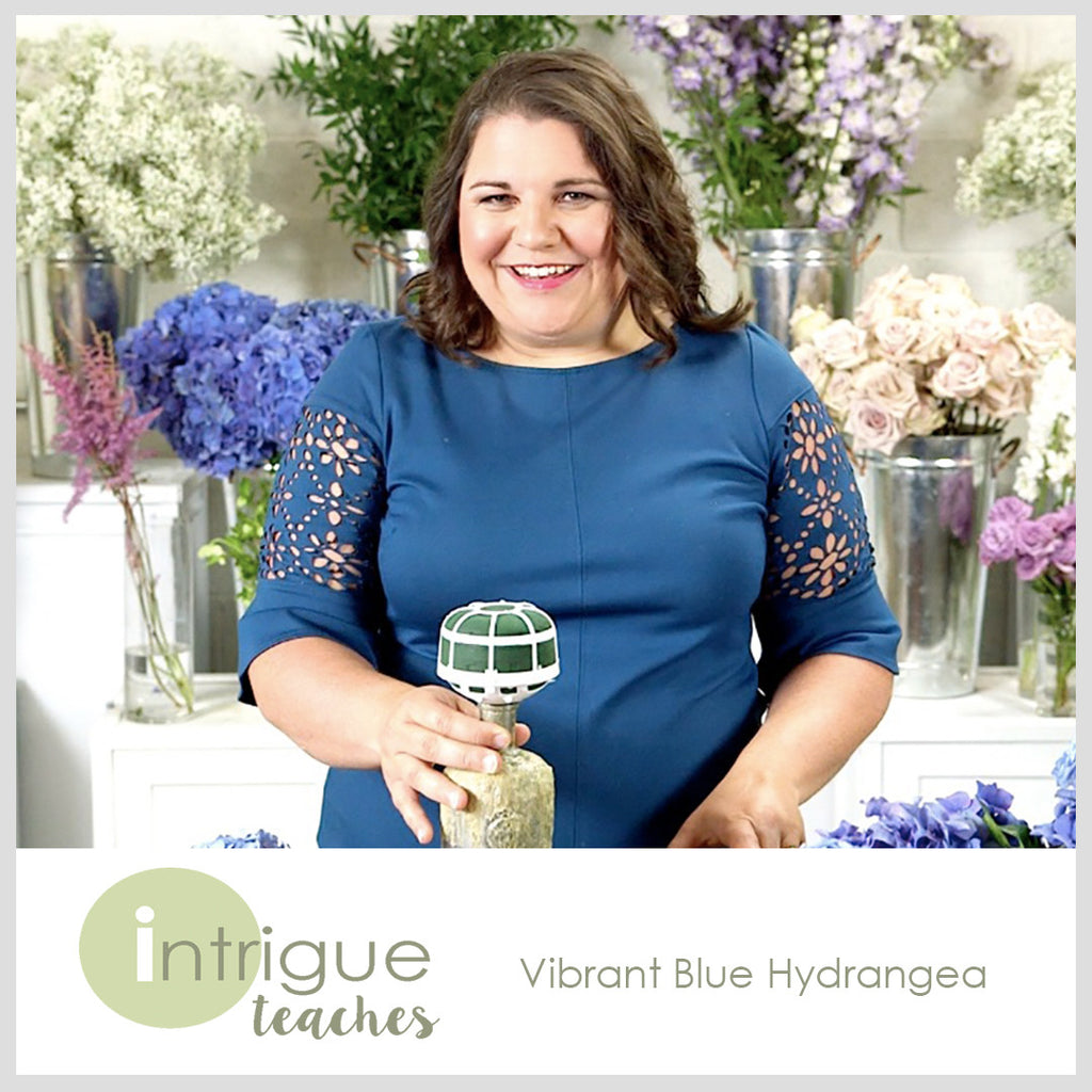Vibrant Blue Hydrangea